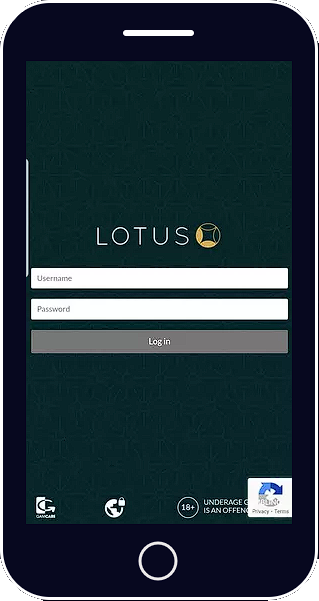 lotus book 247 demo id